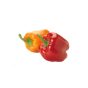 Sweet pepper