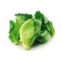 Fresh vegetable