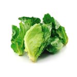 Fresh vegetable